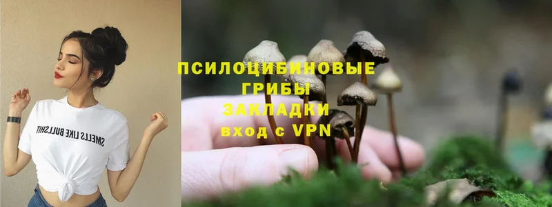 Галлюциногенные грибы Cubensis Апрелевка